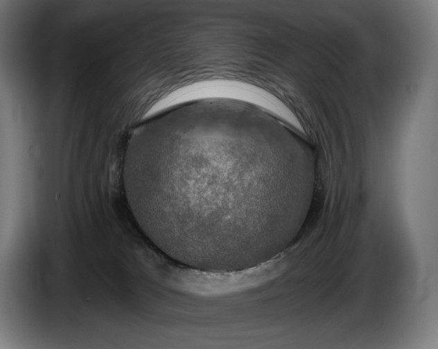 X0000087410037200705041256