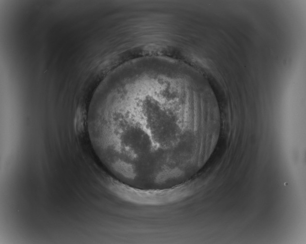 X0000087410038200705041256