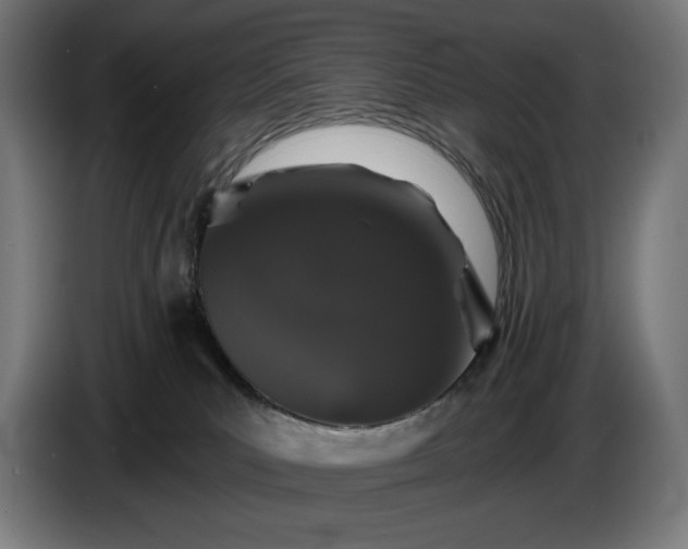 X0000087410039200705041256