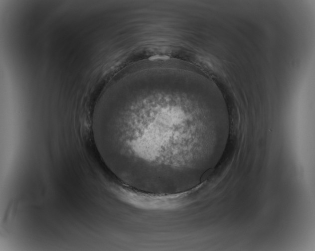 X0000087410040200705041256