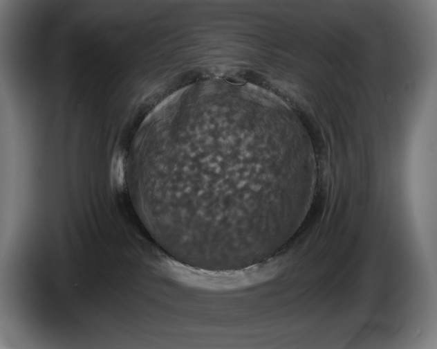 X0000087410042200705041256