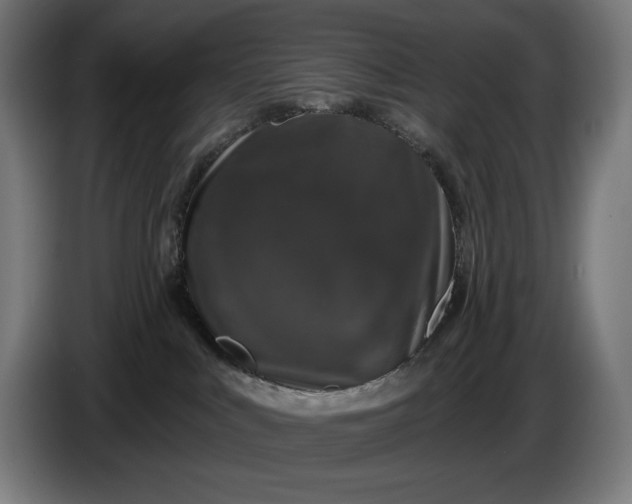 X0000087410043200705041256