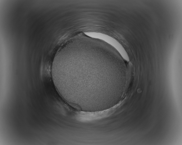 X0000087410045200705041256