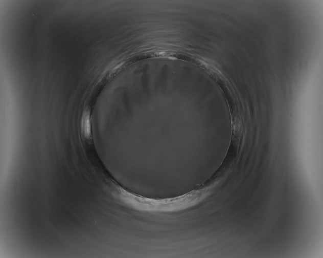 X0000087410046200705041256