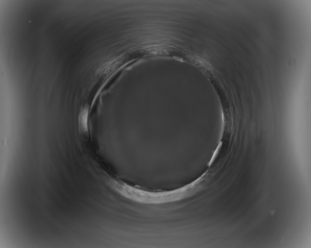 X0000087410047200705041256