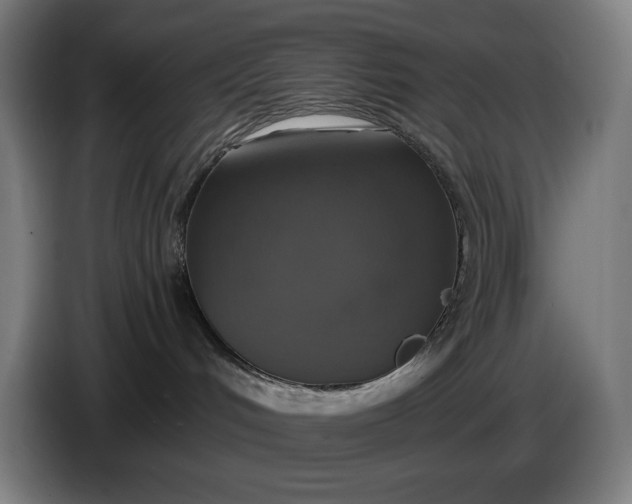 X0000087410048200705041256