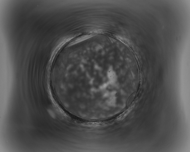 X0000087410049200705041256