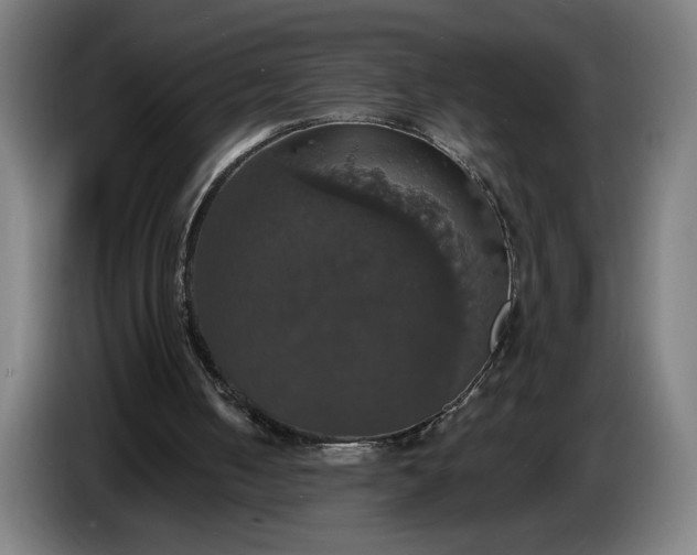 X0000087410050200705041256