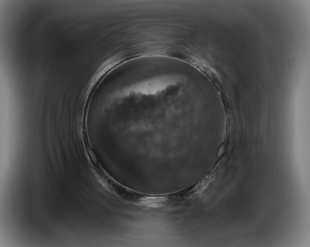 X0000087410051200705041256