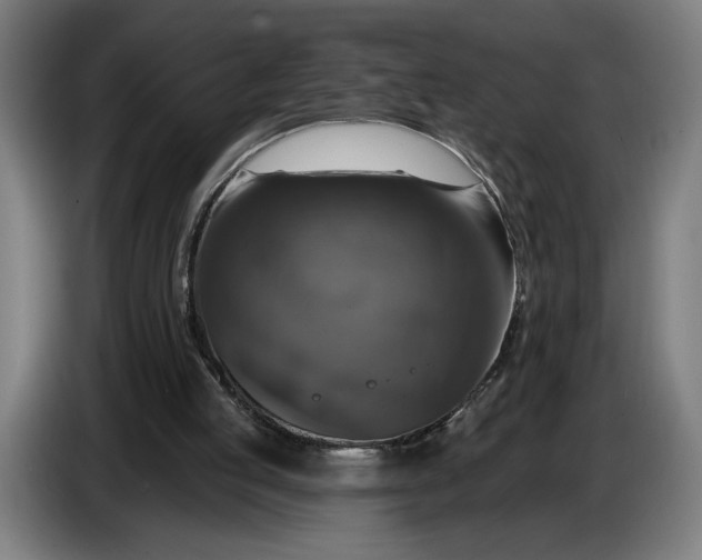 X0000087410053200705041256