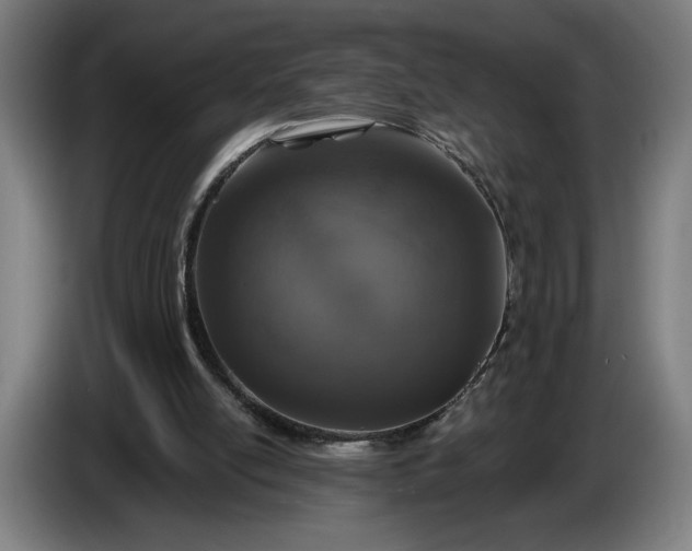 X0000087410054200705041256