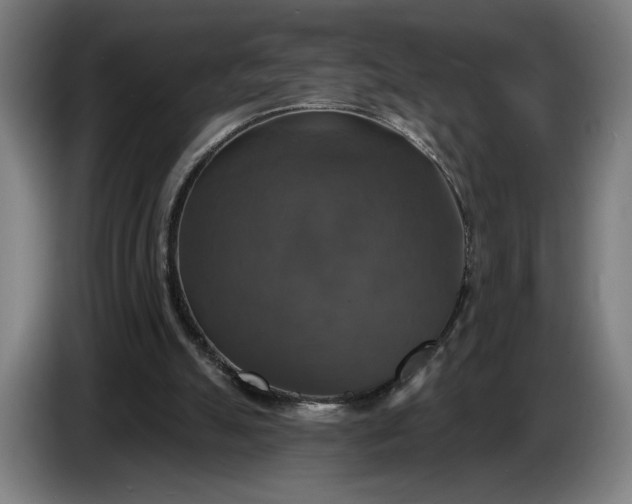 X0000087410055200705041256