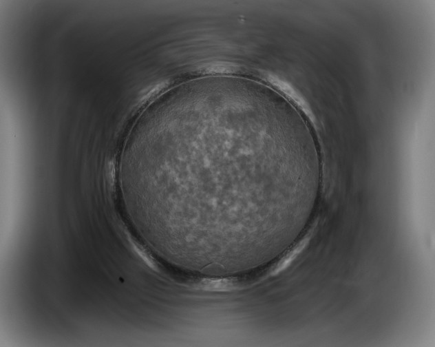 X0000087410057200705041256