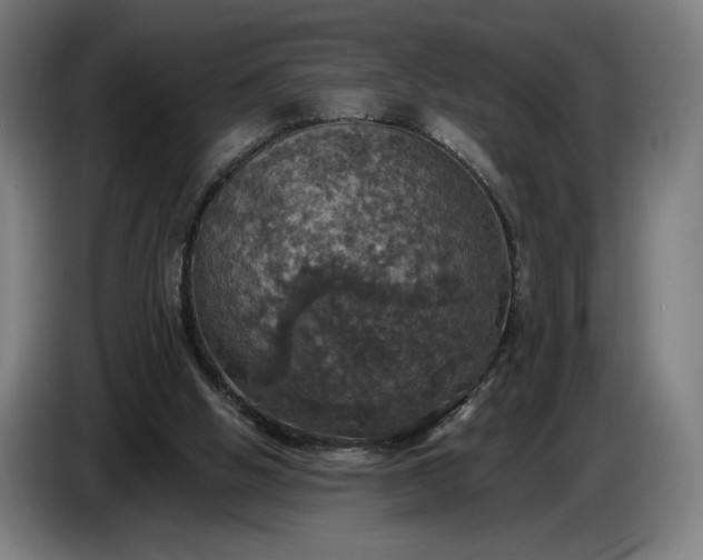 X0000087410058200705041256