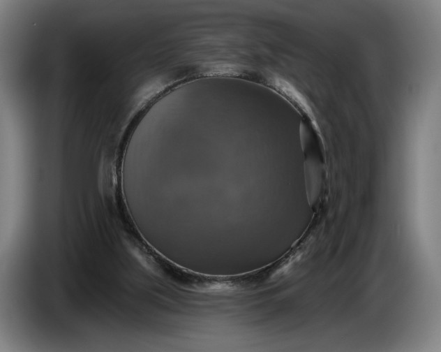 X0000087410059200705041256