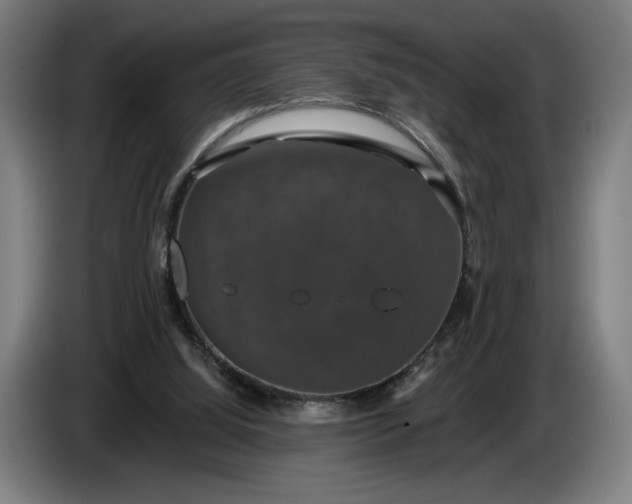 X0000087410060200705041256