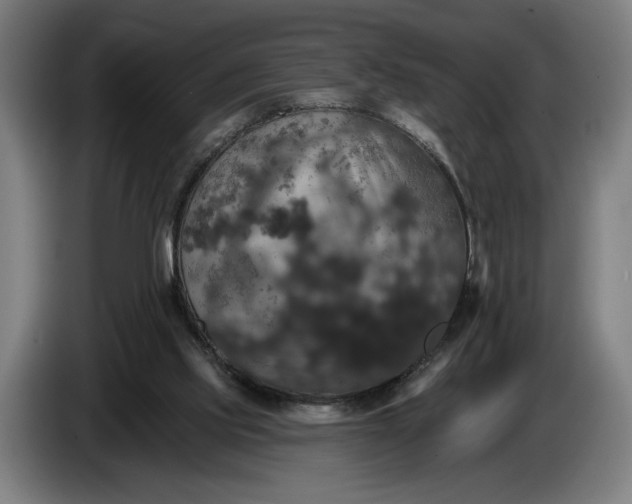 X0000087410061200705041256