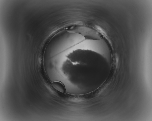 X0000087410063200705041256