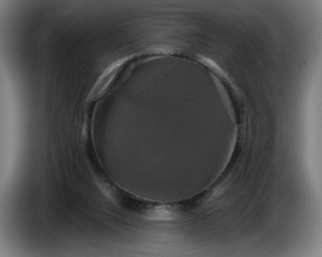 X0000087410064200705041256