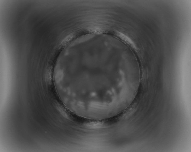 X0000087410065200705041256