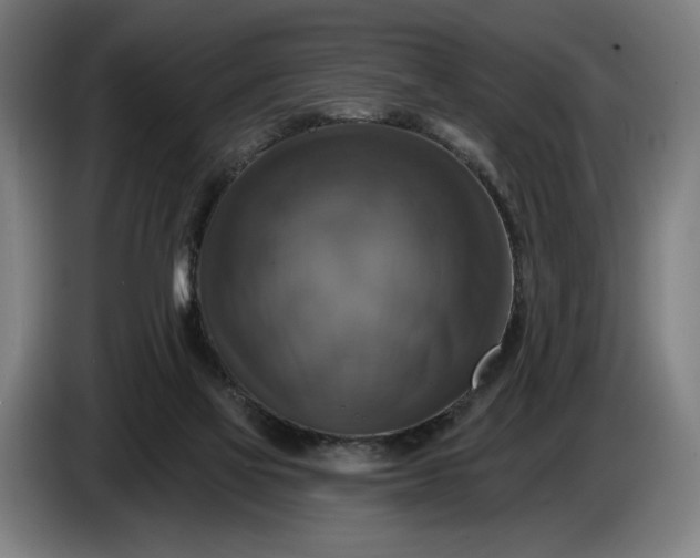 X0000087410069200705041256