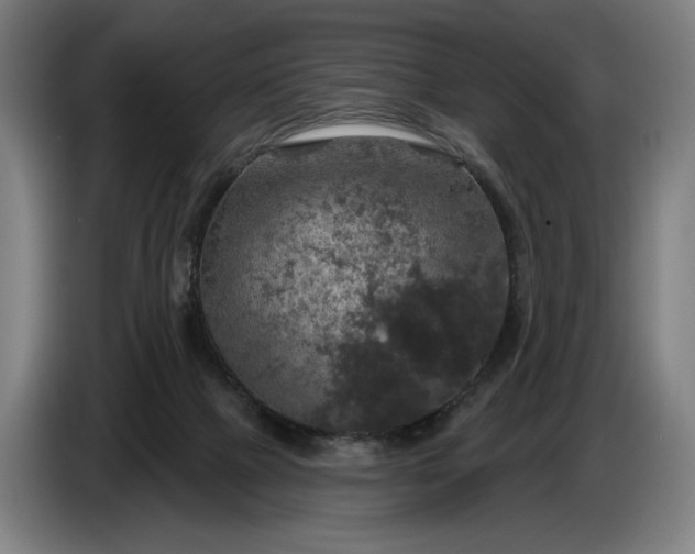 X0000087410073200705041256