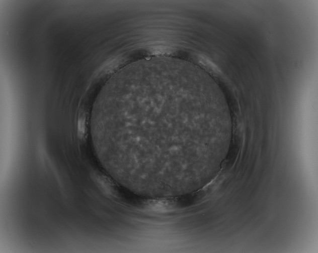 X0000087410074200705041256