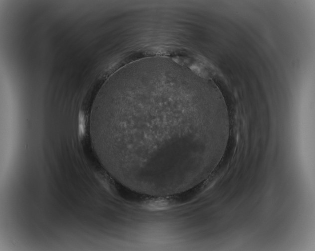 X0000087410075200705041256