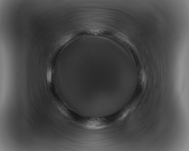 X0000087410076200705041256