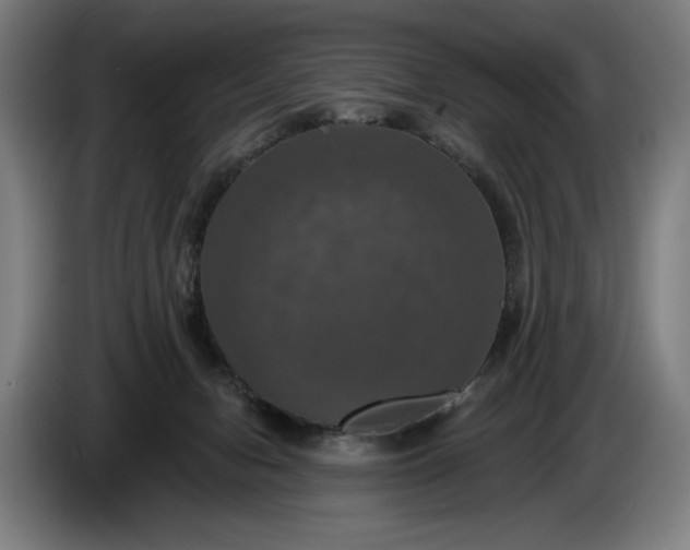 X0000087410078200705041256