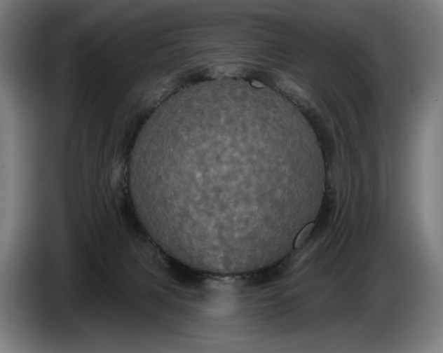 X0000087410079200705041256