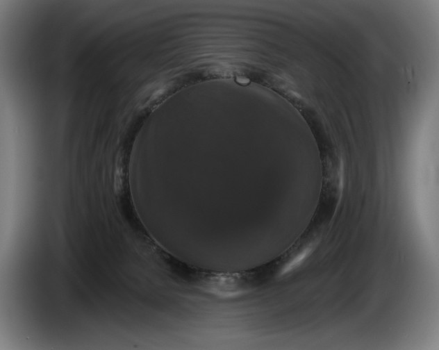 X0000087410080200705041256