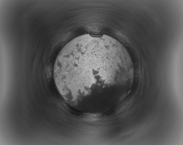 X0000087410081200705041256