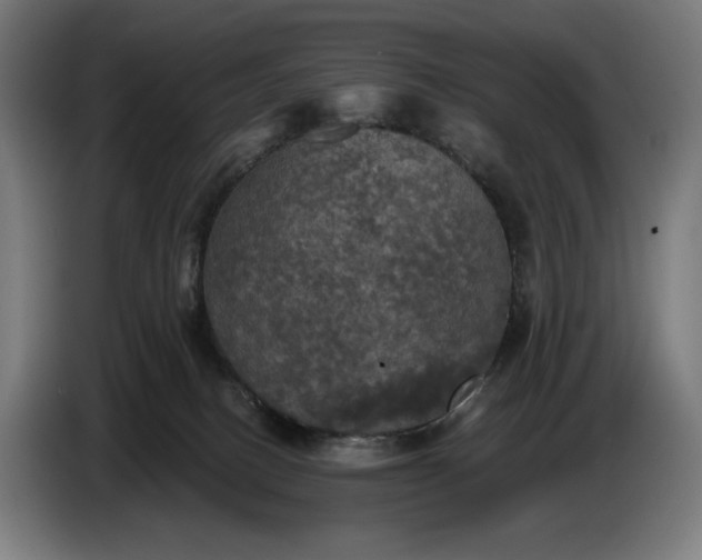 X0000087410082200705041256