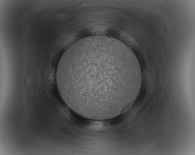 X0000087410083200705041256