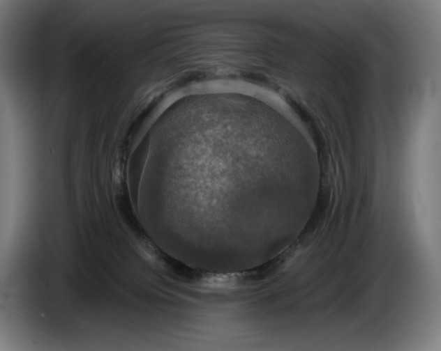 X0000087410084200705041256