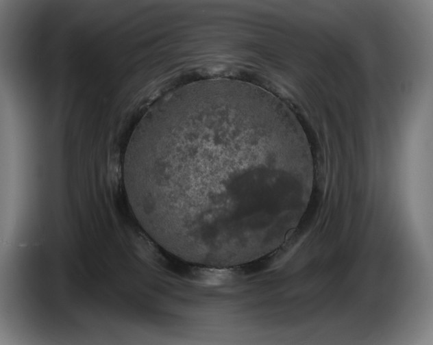 X0000087410085200705041256