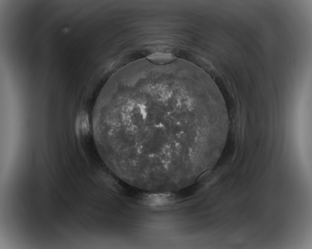 X0000087410089200705041256