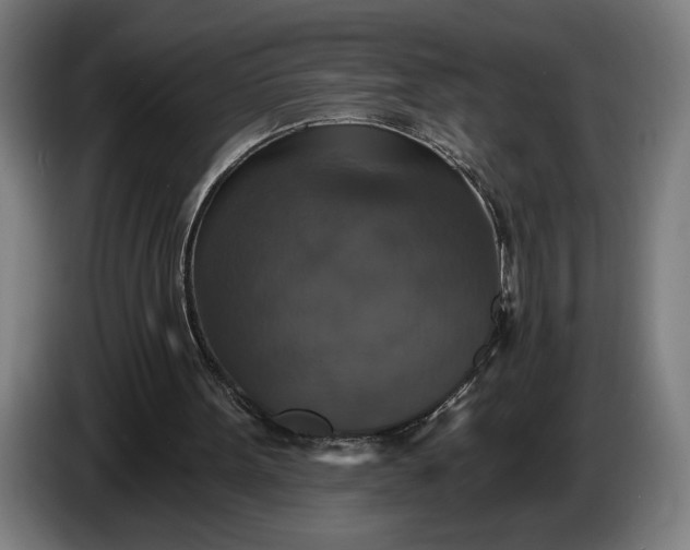 X0000087410099200705041256