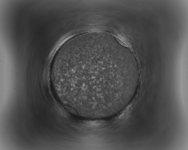 X0000087410103200705041256