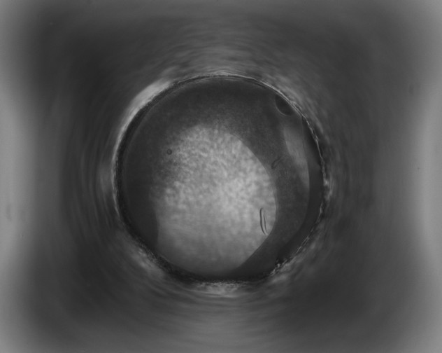 X0000087410104200705041256