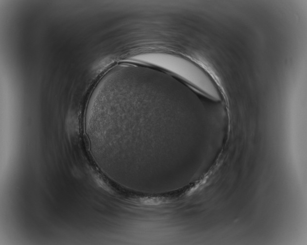 X0000087410105200705041256