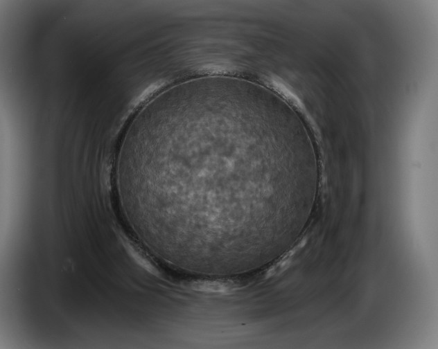 X0000087410106200705041256