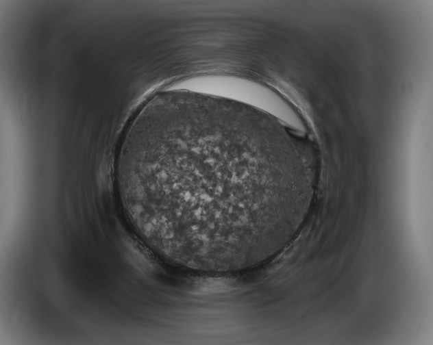 X0000087410107200705041256