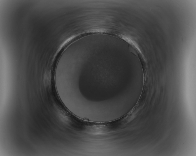 X0000087410108200705041256