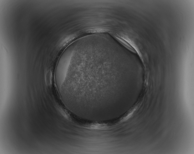 X0000087410109200705041256