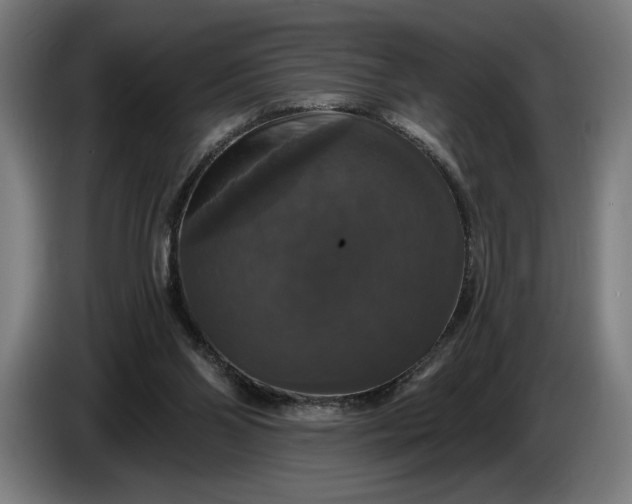 X0000087410110200705041256