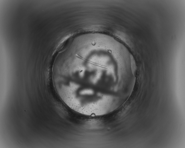 X0000087410111200705041256