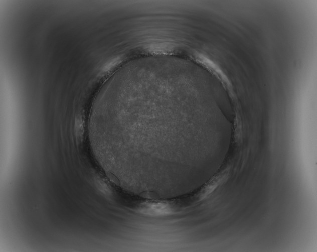 X0000087410113200705041256