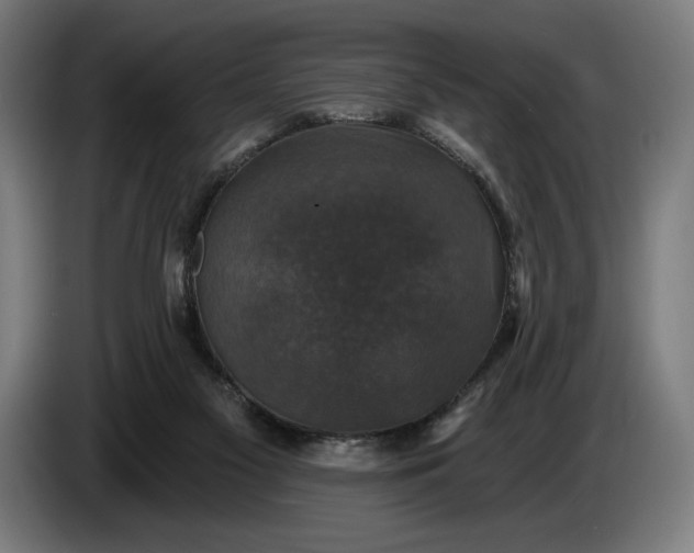 X0000087410117200705041255